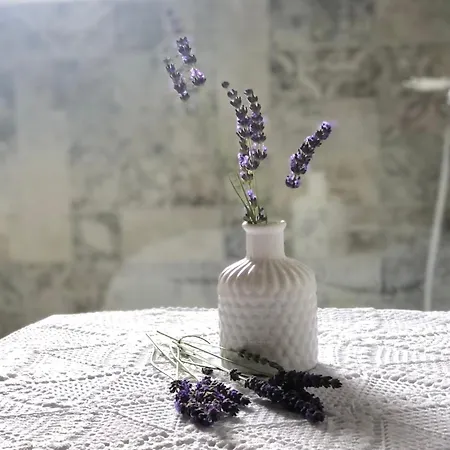 Apartment Mamma Mia Rijeka