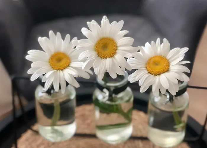 Mamma Mia Apartment *